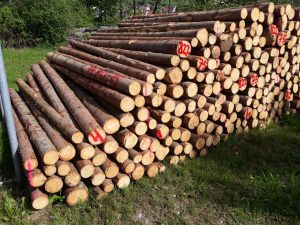 Regular stack of wood delivered directly from forestry